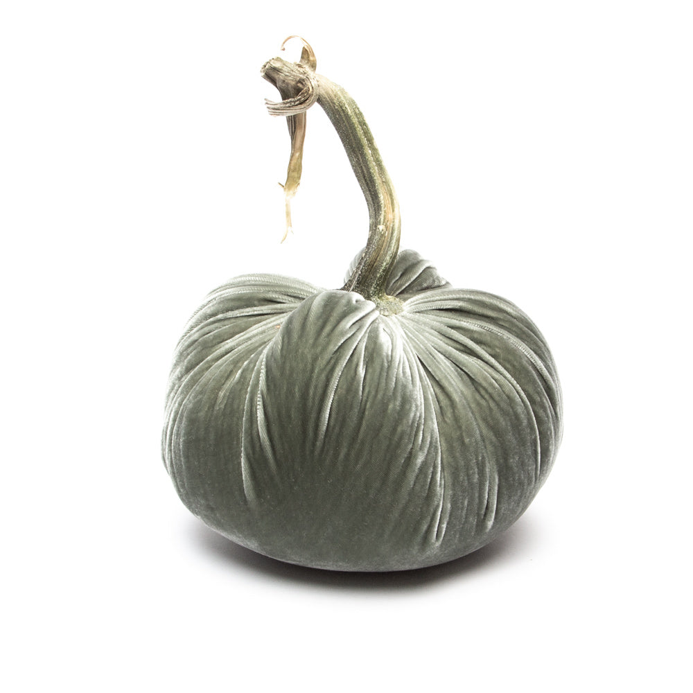 Willow Silk Velvet Pumpkin