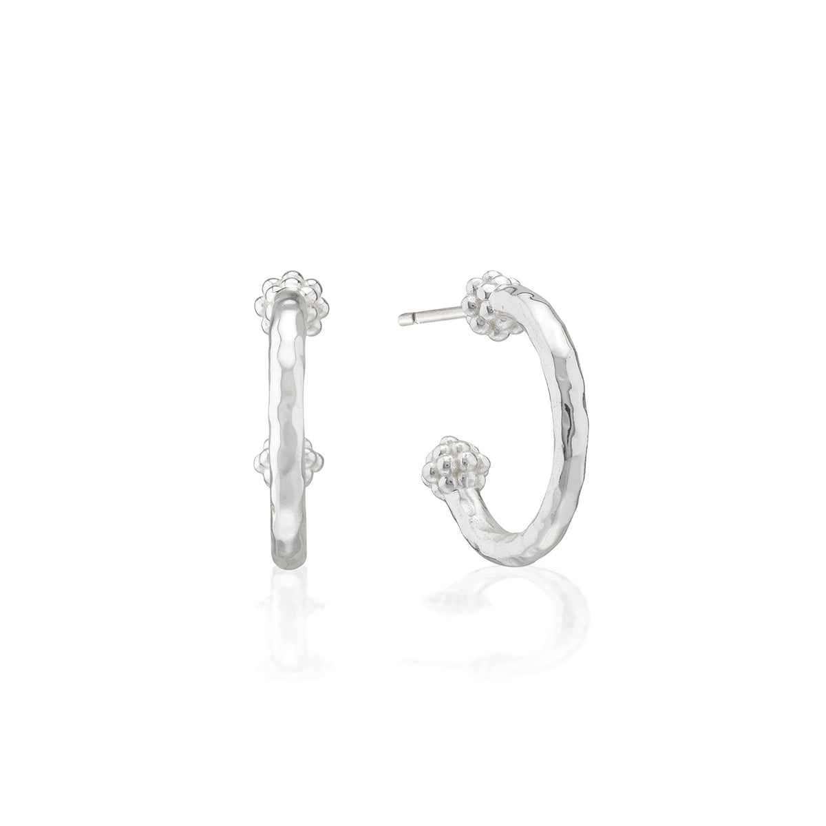 Berry Slice Small Hoop Earrings in Silver