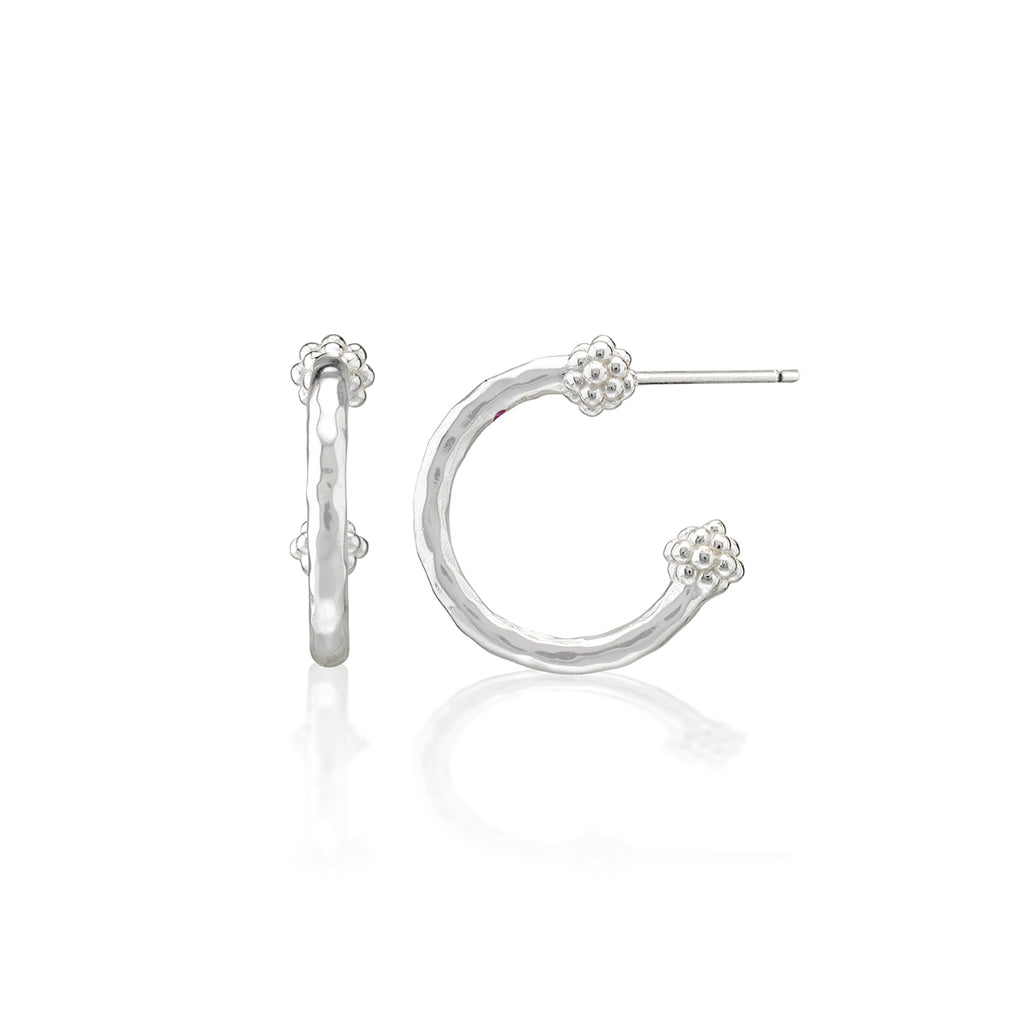 Berry Slice Small Hoop Earrings in Silver