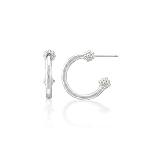 Berry Slice Small Hoop Earrings in Silver