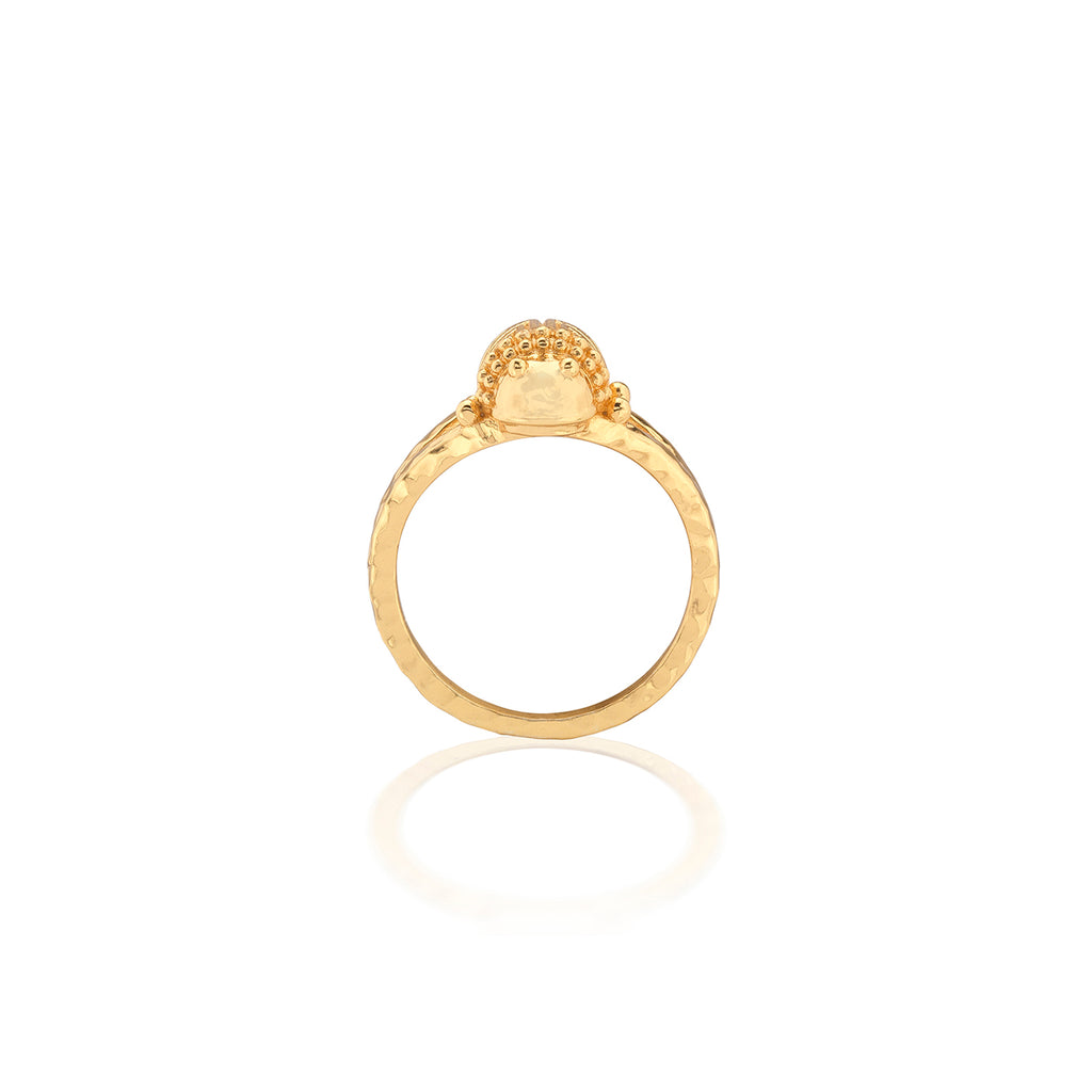 Scarab Gilded Ring in Gold