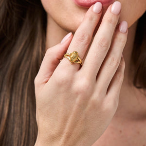 Scarab Gilded Ring in Gold