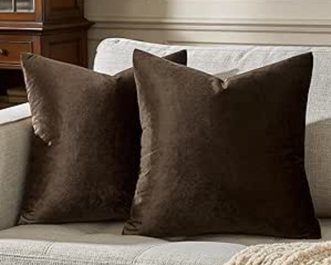 Brown Velvet Pillows