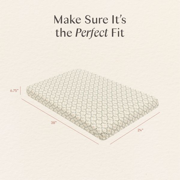 Mini Crib Sheet in GOTS Certified Organic Brushed Cotton by Nate Berkus in Juniper Star