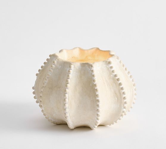 Artisan Studio Shell Candle Collection - Sea Urchin