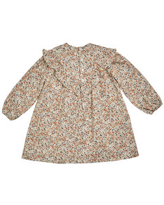 Avie Dress in Brown/Blue Liberty