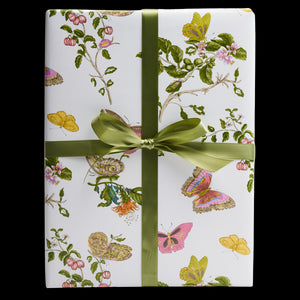 Baudin Butterfly Wrapping Paper In Blush