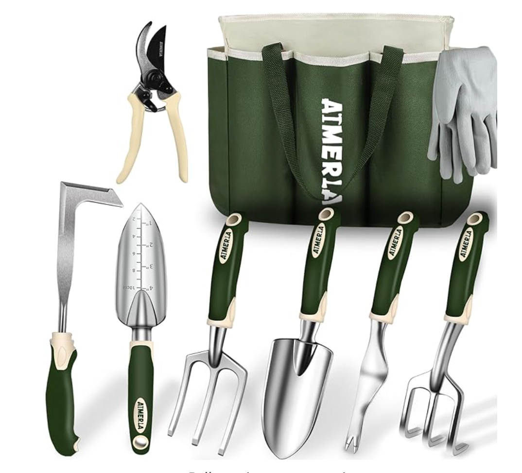 Amazon Prime includes: