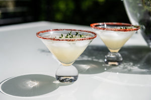 Benson Martini in Gift Box, Set of 2