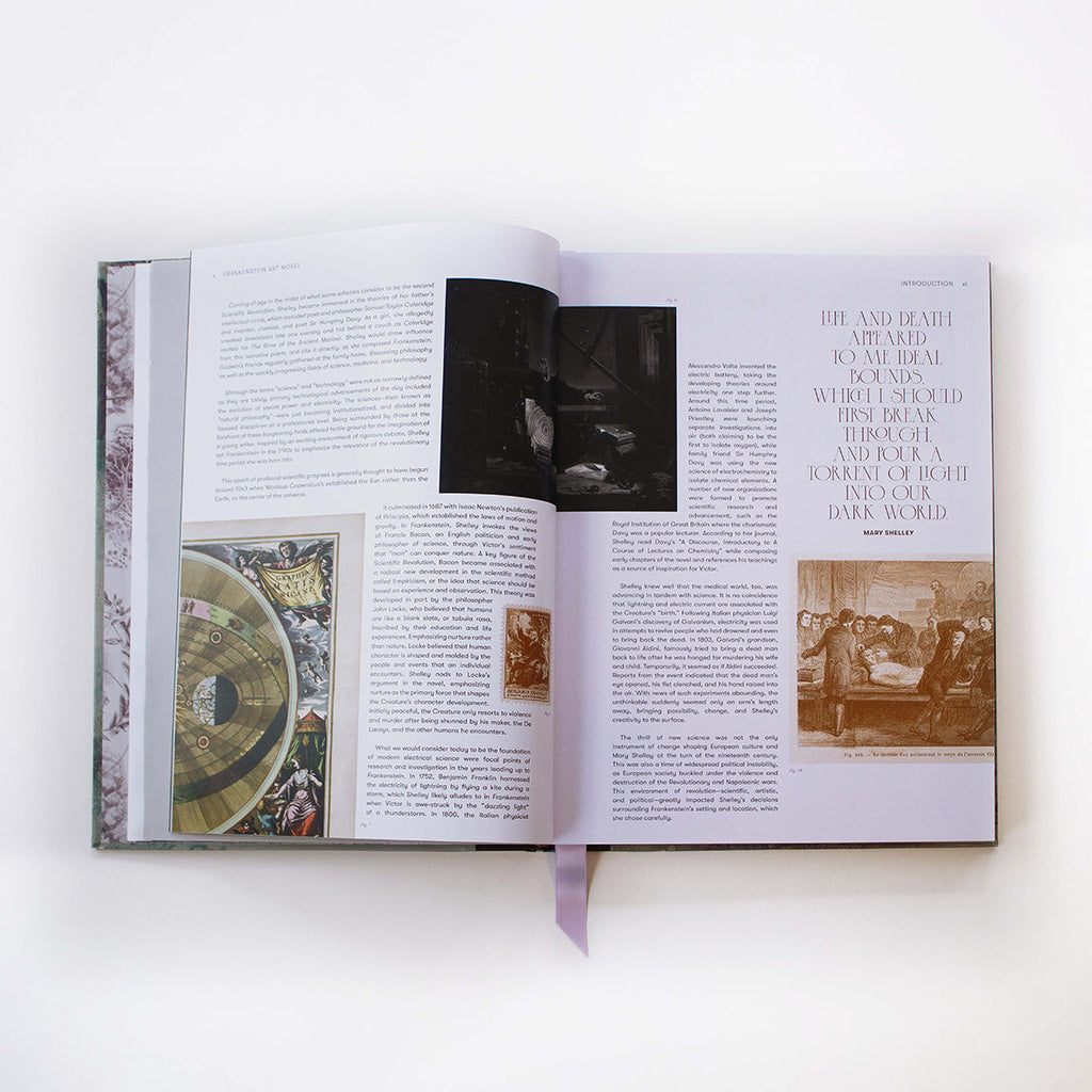 Frankenstein Art Novel Collector's Edition