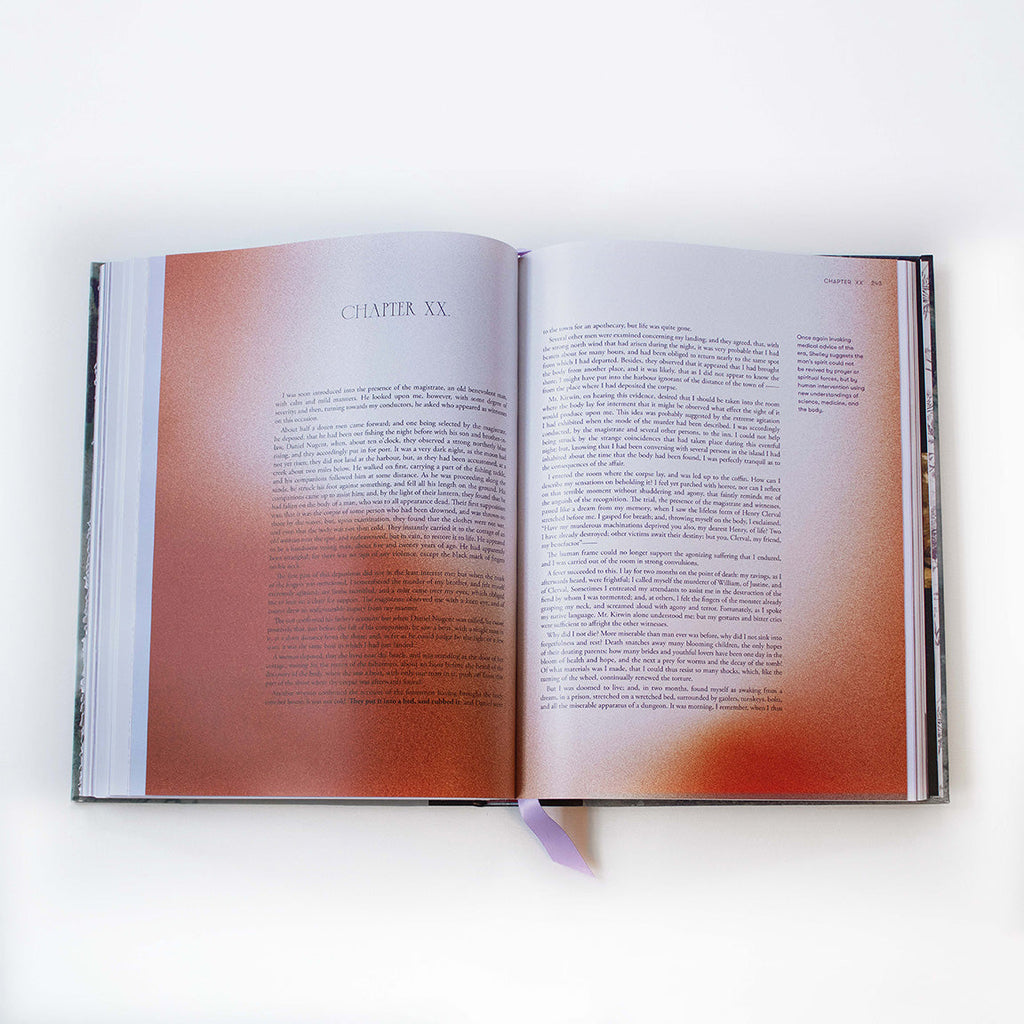 Frankenstein Art Novel Collector's Edition