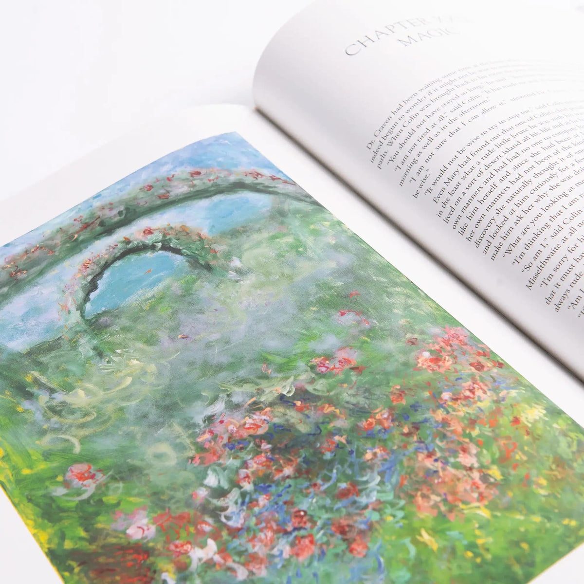 The Secret Garden Art Novel Special Edition