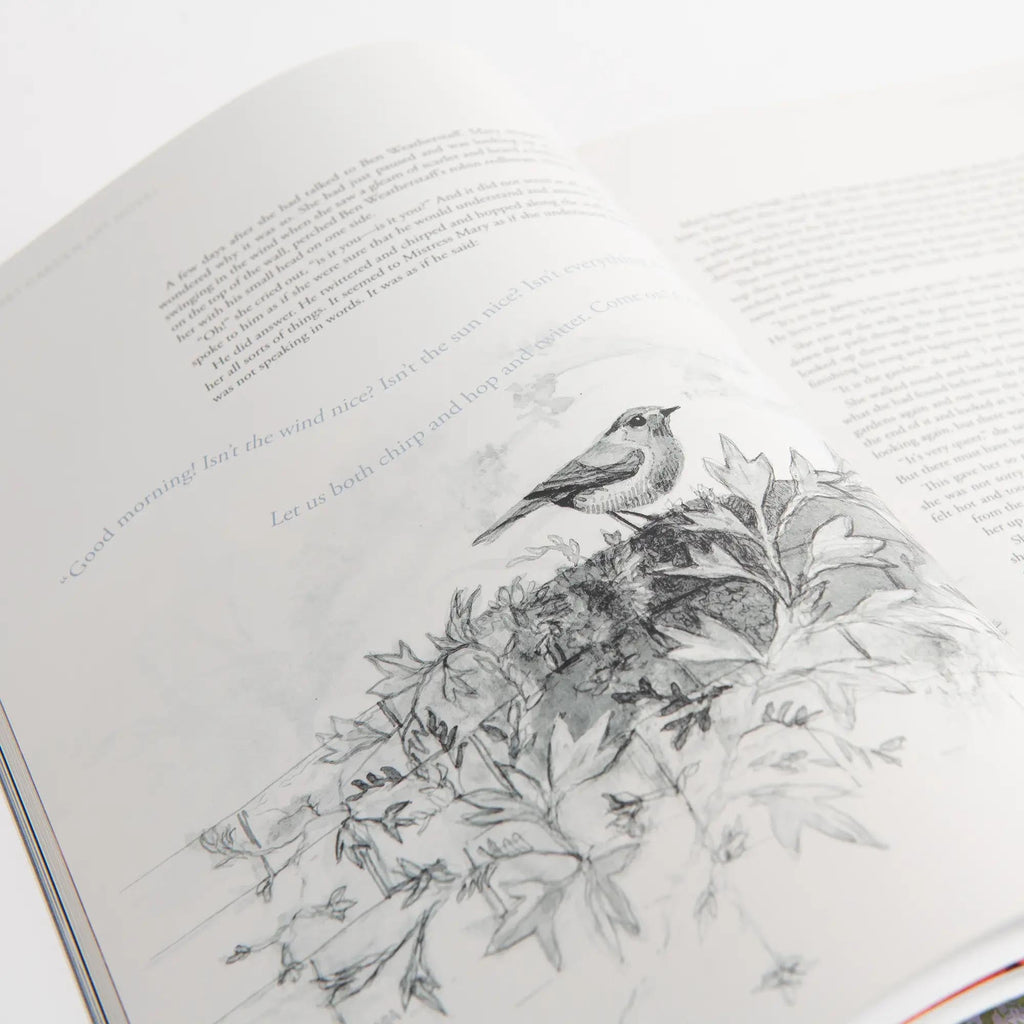The Secret Garden Art Novel Collector's Edition