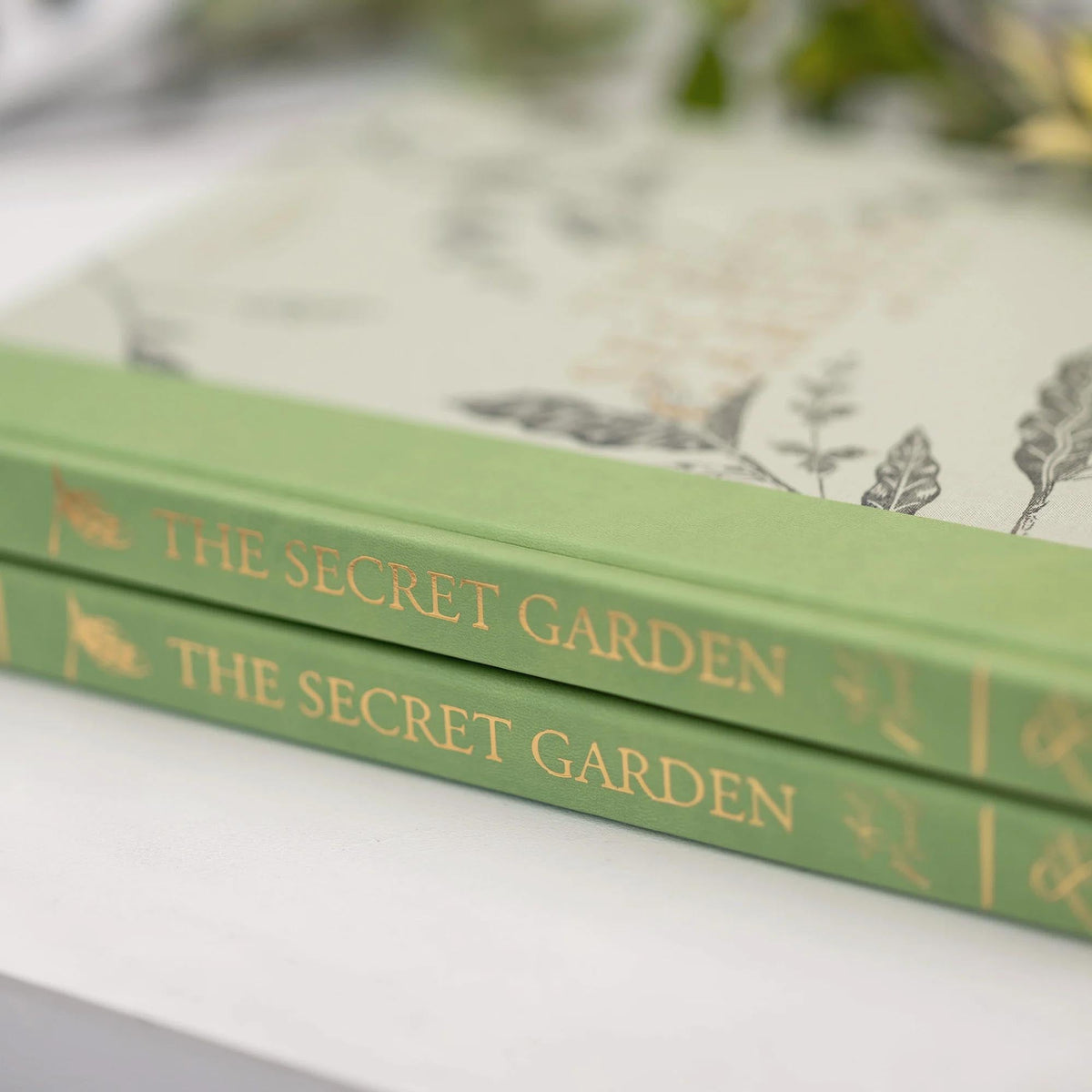 The Secret Garden Art Novel Special Edition