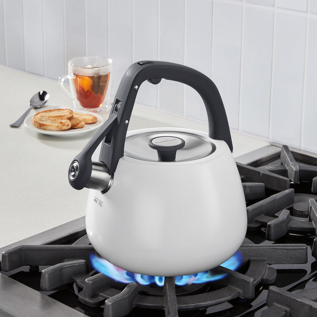 2 Qt. Matte White Stainless Steel Tea Kettle in White