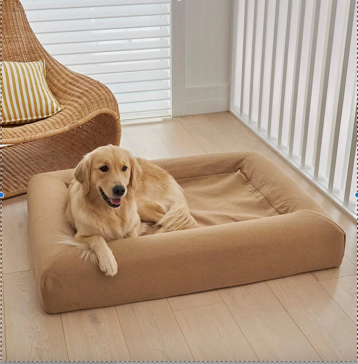 Barney Basics Dog Bed Cover - Large