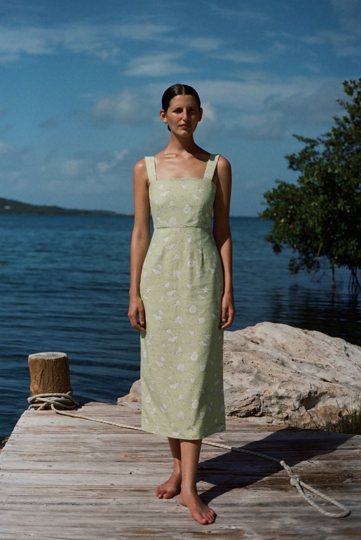 Long Slip Dress in Lime Shell