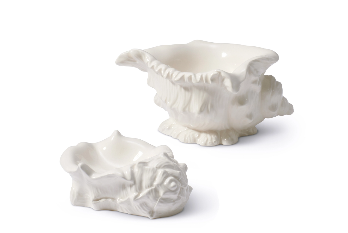 Front and angled views of Conch Shell Dishes, Set of 2 showcasing white shell-shaped ceramic designs on a white background