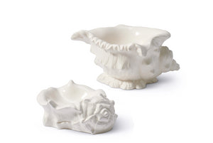 Conch Shell Dishes, Set of 2