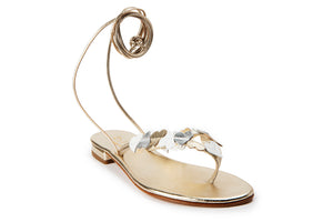 Solaro in Gold & Hearts Multi