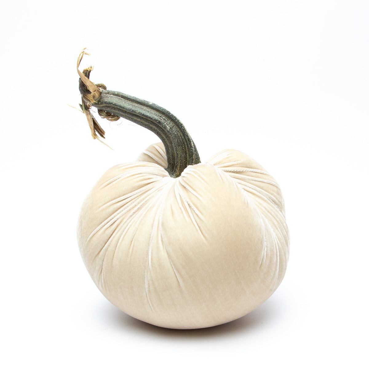 Cream Silk Velvet Pumpkin