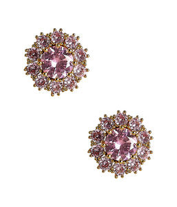 Amy Rhinestone Earring