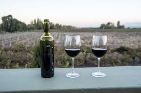 Wine Tasting Vineyards of Mendoza, $300