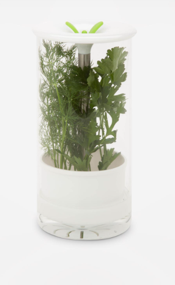 ColorPop Glass Herb Preserver