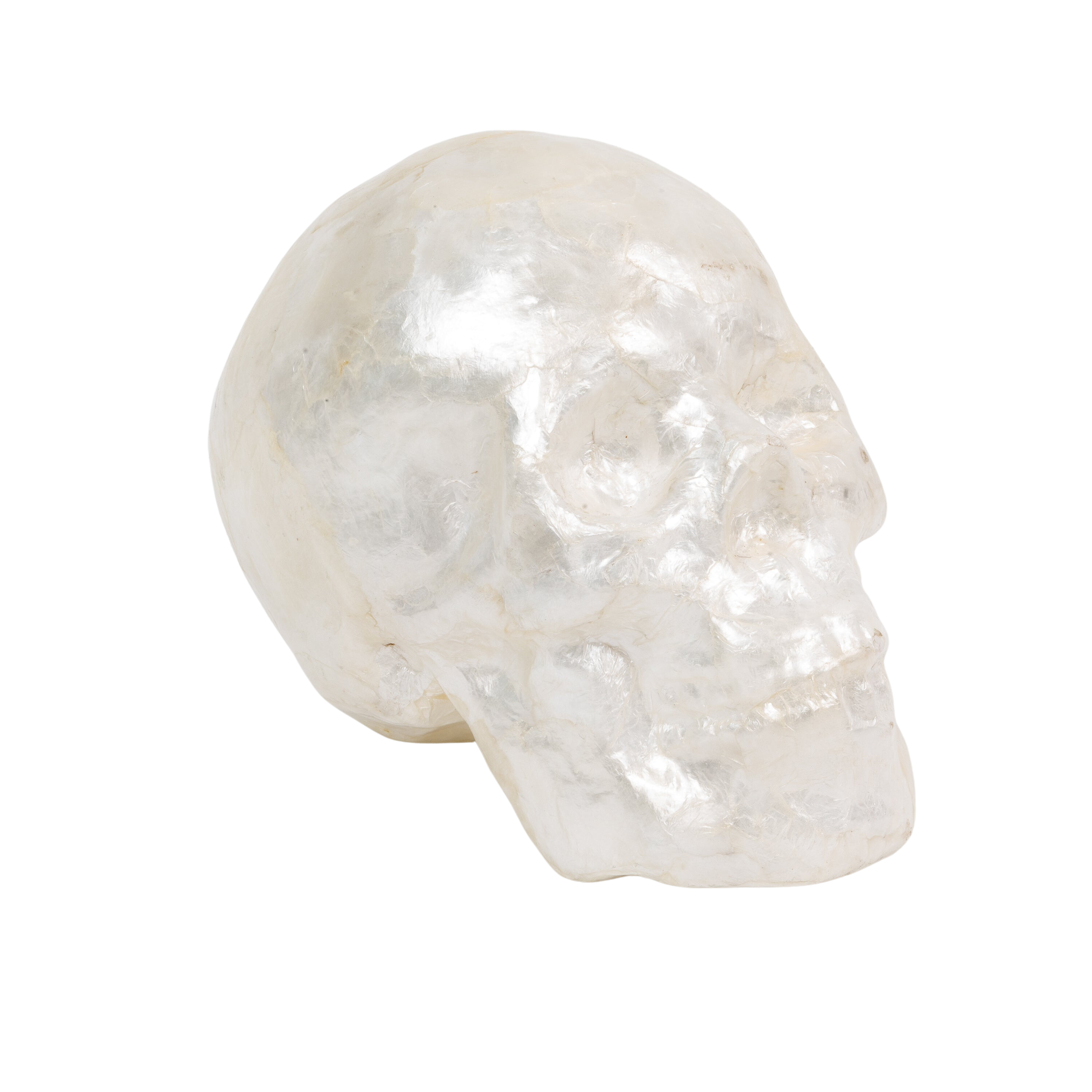 Capiz Skull in Pearl