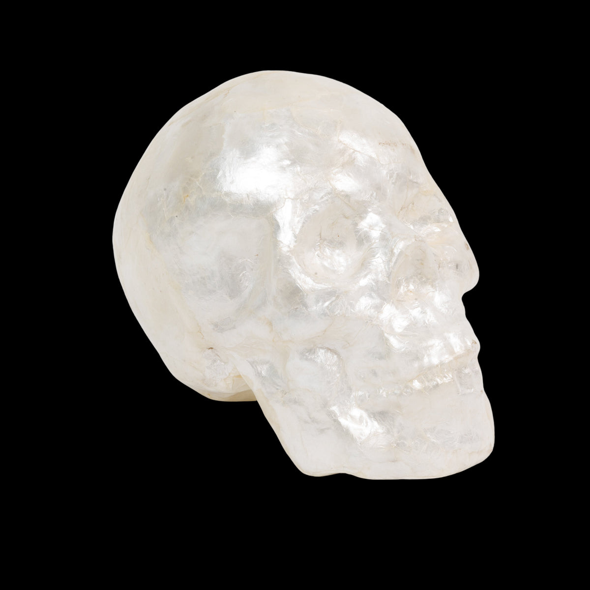 Capiz Skull in Pearl