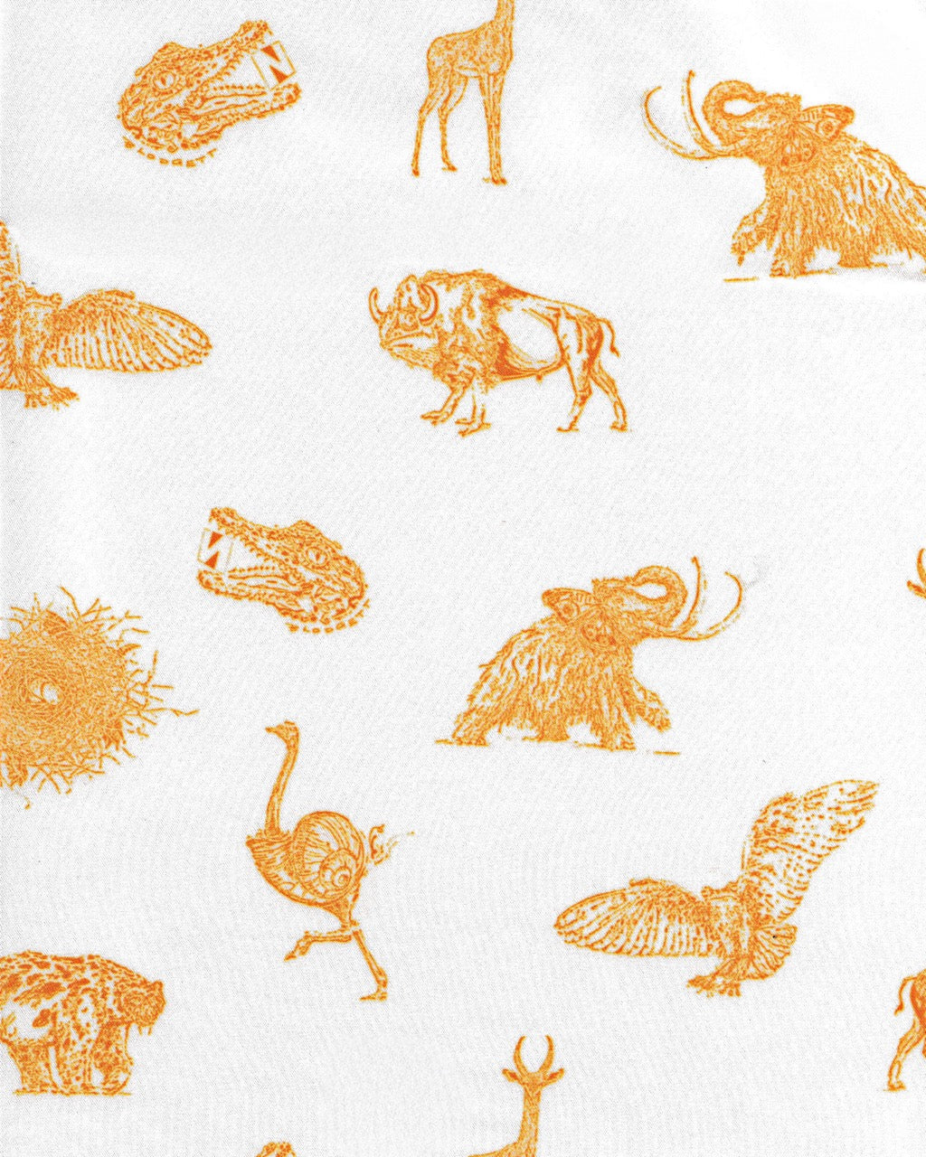 Mystical Creatures Scarf in Orange
