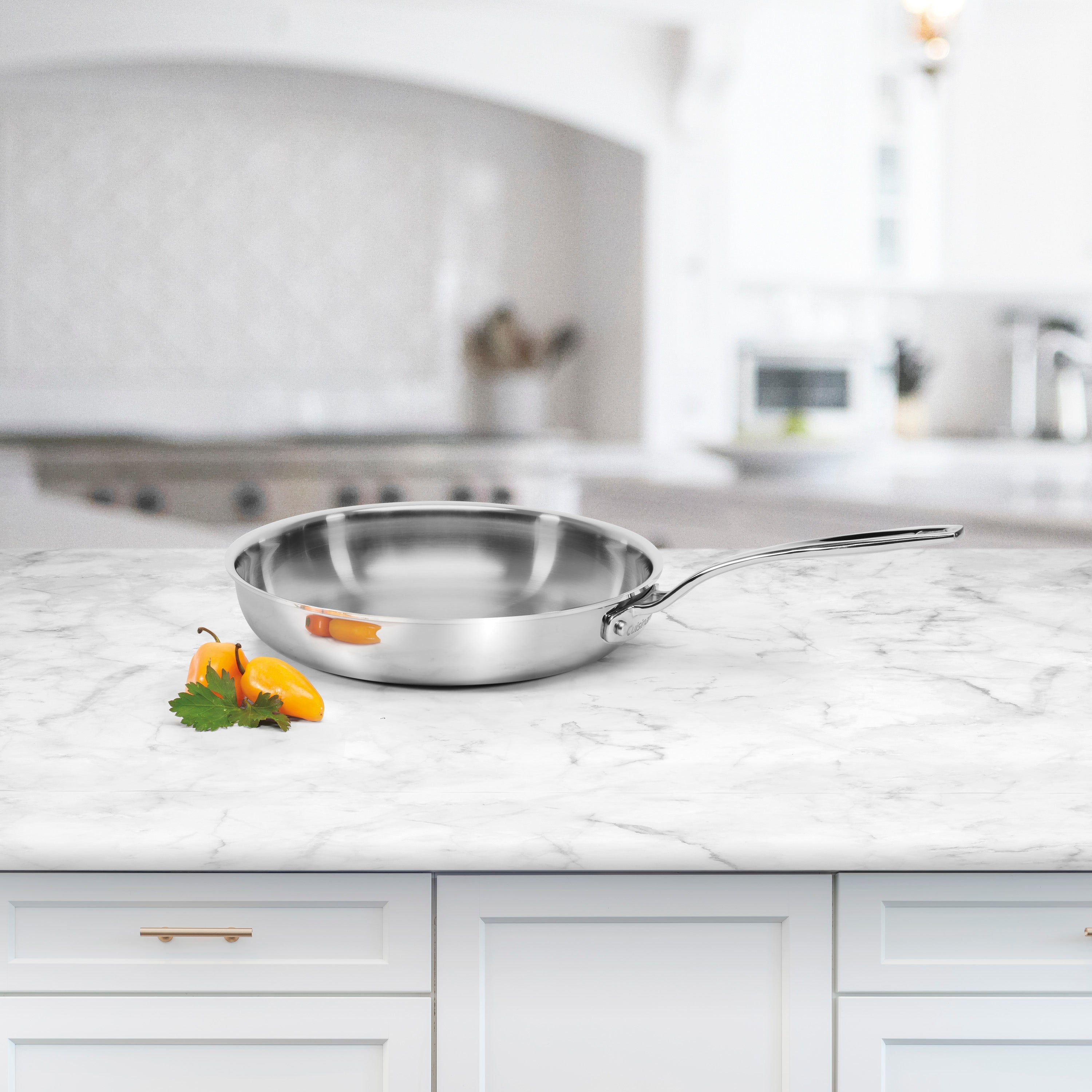Custom-Clad 5-Ply 10" Fry Pan in Stainless Steel