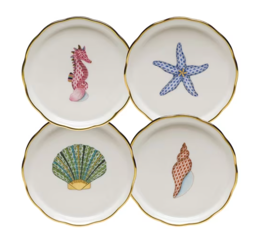 Aquatic Dessert Shell Coaster, Set of 4