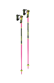 2023 Sun Valley Ski Pole