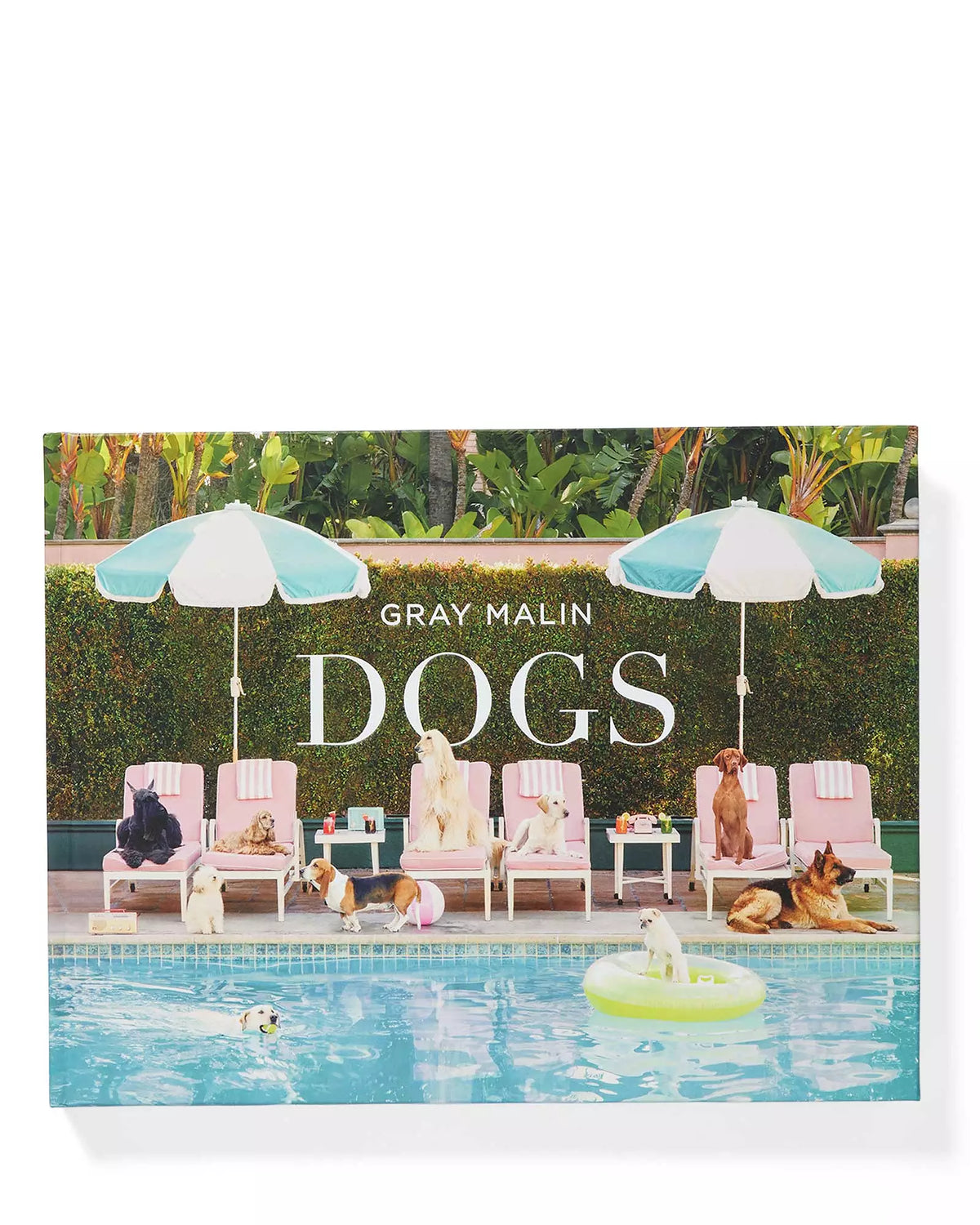 "Dogs" by Gray Malin