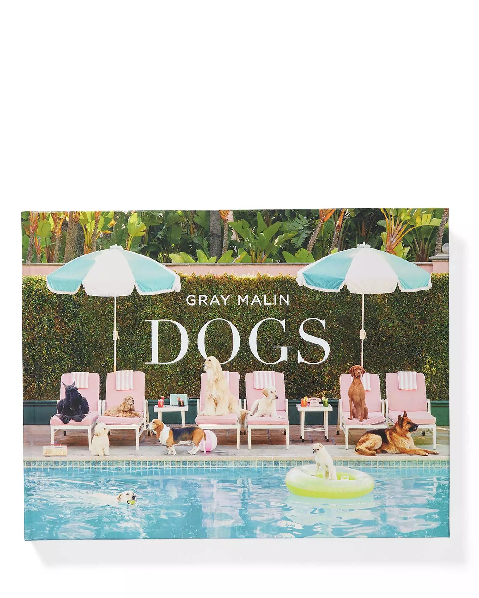 "Dogs" by Gray Malin