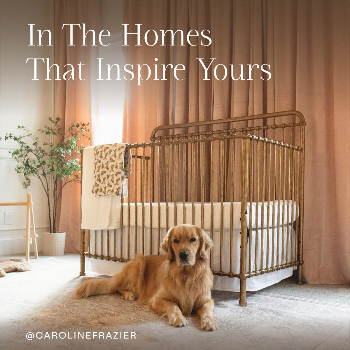 Winston 4-in-1 Convertible Crib in Vintage Gold