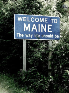 Retro-Travel Tote in Dungerre Lee