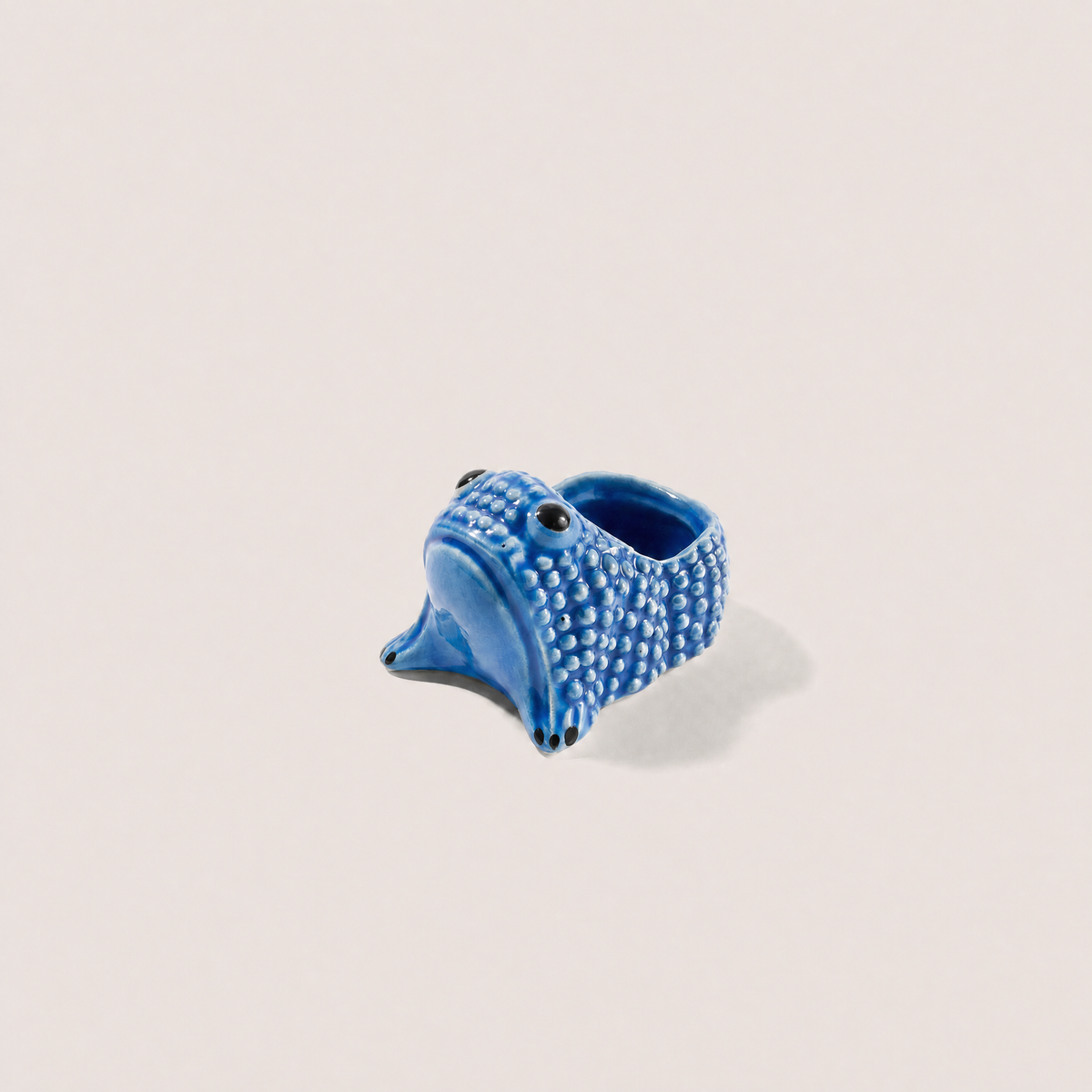 Ceramic Frog Dish