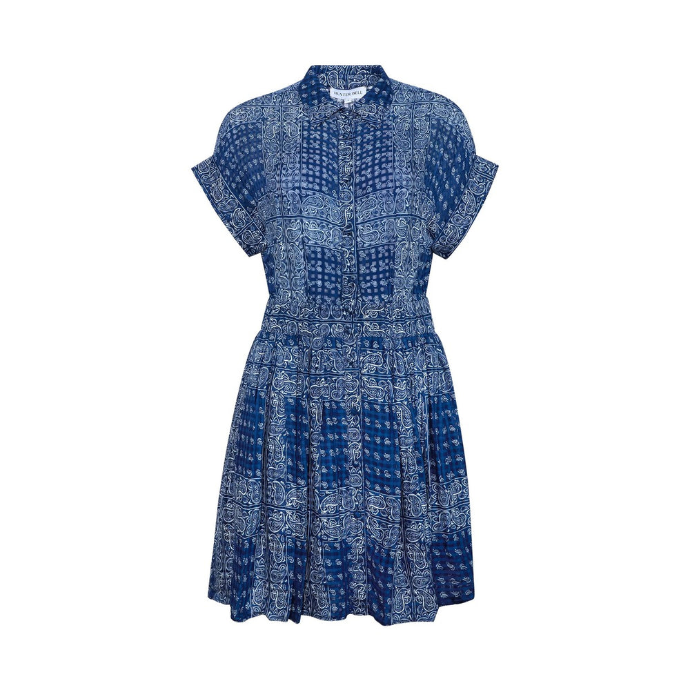 howard-dress-in-inkwell-paisley