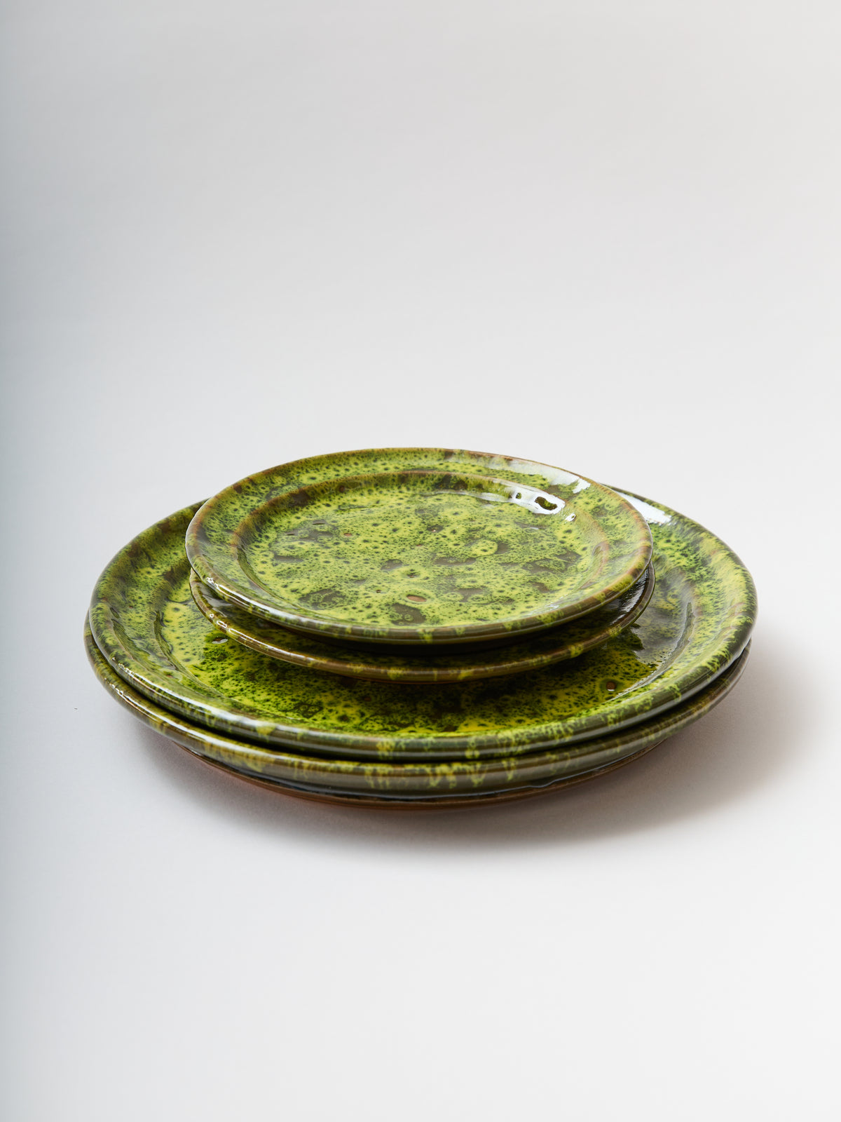 Moss Terracotta Dinner Plate