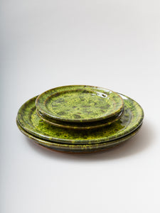 Moss Terracotta Dinner Plate