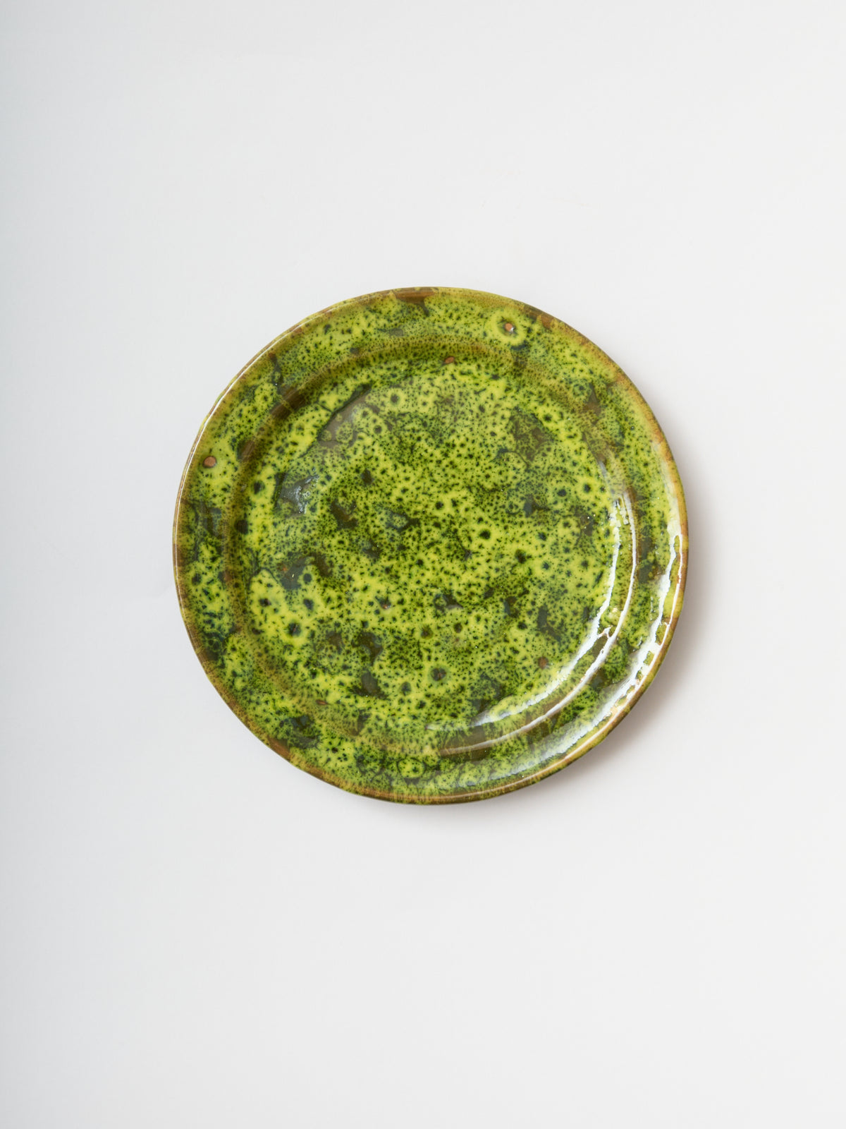 Moss Terracotta Dinner Plate