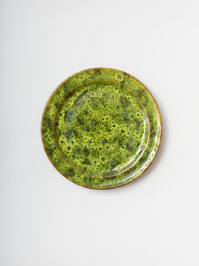 Moss Terracotta Dinner Plate