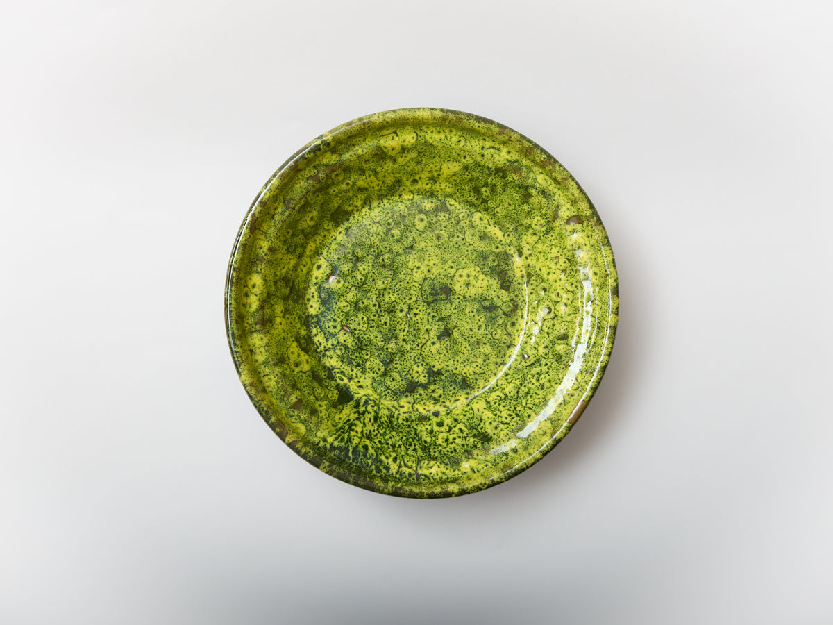 Moss Large Terracotta Serving Dish