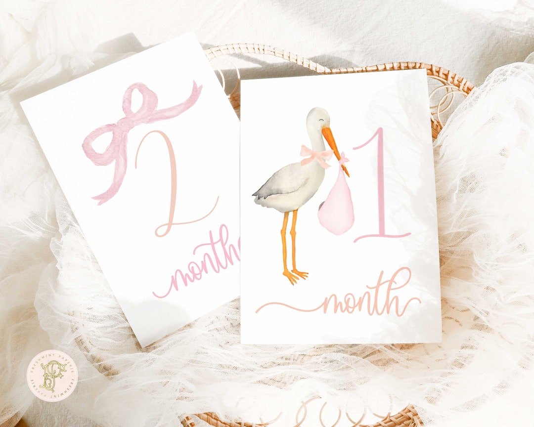 Baby Milestone Cards