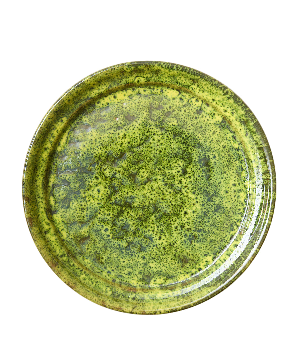 Moss Terracotta Dinner Plate