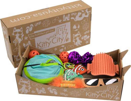 Cat Gift Box
