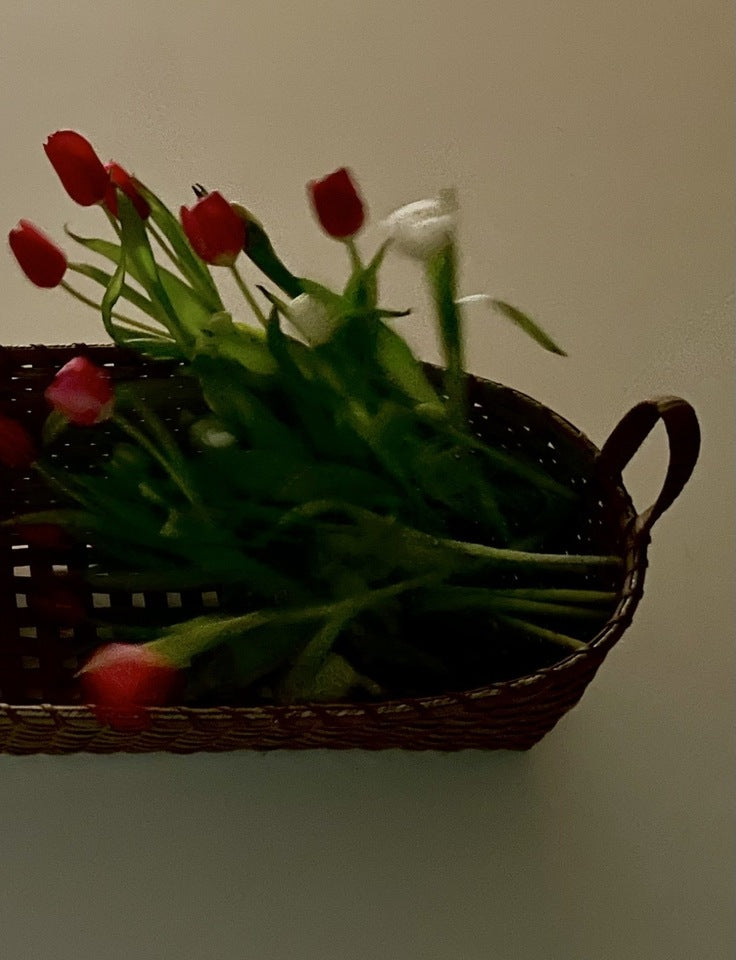 Bounty Basket, Long