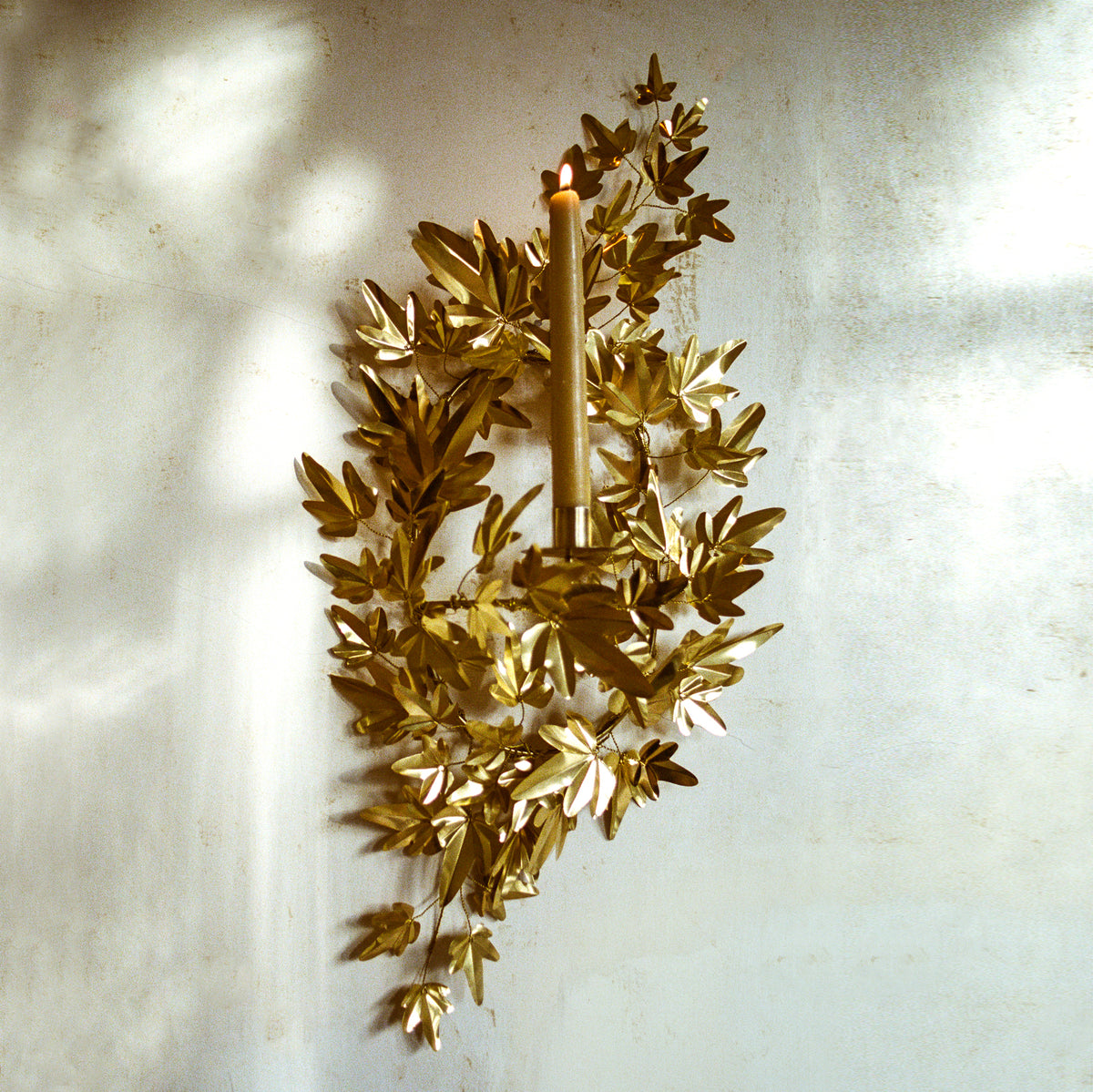 Large Brass Ivy Sconce